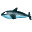   killer whale whales shamo Animations Mini Animals  