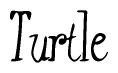 Nametag+Turtle 