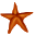   starfish star fish Animations Mini Animals  