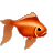   gold fish Animations Mini Animals  