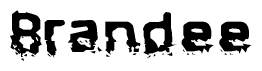 The image contains the word Brandee in a stylized font with a static looking effect at the bottom of the words