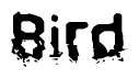 The image contains the word Bird in a stylized font with a static looking effect at the bottom of the words