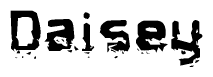 The image contains the word Daisey in a stylized font with a static looking effect at the bottom of the words