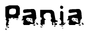 The image contains the word Pania in a stylized font with a static looking effect at the bottom of the words