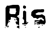 The image contains the word Ris in a stylized font with a static looking effect at the bottom of the words
