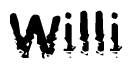 The image contains the word Willi in a stylized font with a static looking effect at the bottom of the words