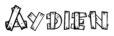 The image contains the name Aydien written in a decorative, stylized font with a hand-drawn appearance. The lines are made up of what appears to be planks of wood, which are nailed together