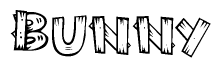 The image contains the name Bunny written in a decorative, stylized font with a hand-drawn appearance. The lines are made up of what appears to be planks of wood, which are nailed together