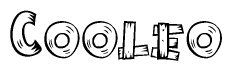 The image contains the name Cooleo written in a decorative, stylized font with a hand-drawn appearance. The lines are made up of what appears to be planks of wood, which are nailed together