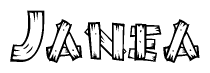 The image contains the name Janea written in a decorative, stylized font with a hand-drawn appearance. The lines are made up of what appears to be planks of wood, which are nailed together