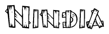 The image contains the name Nindia written in a decorative, stylized font with a hand-drawn appearance. The lines are made up of what appears to be planks of wood, which are nailed together