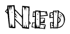 The image contains the name Ned written in a decorative, stylized font with a hand-drawn appearance. The lines are made up of what appears to be planks of wood, which are nailed together