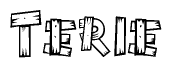 The image contains the name Terie written in a decorative, stylized font with a hand-drawn appearance. The lines are made up of what appears to be planks of wood, which are nailed together