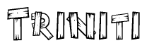 The image contains the name Triniti written in a decorative, stylized font with a hand-drawn appearance. The lines are made up of what appears to be planks of wood, which are nailed together