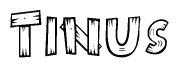 The image contains the name Tinus written in a decorative, stylized font with a hand-drawn appearance. The lines are made up of what appears to be planks of wood, which are nailed together
