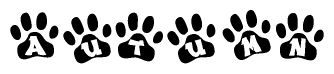 The image shows a series of animal paw prints arranged horizontally. Within each paw print, there's a letter; together they spell Autumn