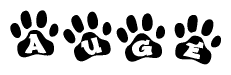 The image shows a series of animal paw prints arranged in a horizontal line. Each paw print contains a letter, and together they spell out the word Auge.