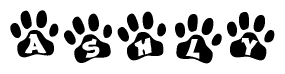 The image shows a series of animal paw prints arranged horizontally. Within each paw print, there's a letter; together they spell Ashly