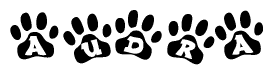 The image shows a series of animal paw prints arranged horizontally. Within each paw print, there's a letter; together they spell Audra