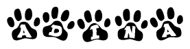 The image shows a series of animal paw prints arranged horizontally. Within each paw print, there's a letter; together they spell Adina