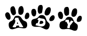 The image shows a series of animal paw prints arranged in a horizontal line. Each paw print contains a letter, and together they spell out the word Ady.