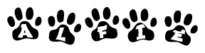 The image shows a row of animal paw prints, each containing a letter. The letters spell out the word Alfie within the paw prints.