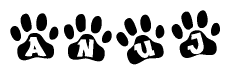 The image shows a series of animal paw prints arranged horizontally. Within each paw print, there's a letter; together they spell Anuj