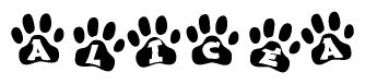 The image shows a series of animal paw prints arranged in a horizontal line. Each paw print contains a letter, and together they spell out the word Alicea.