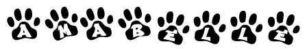 The image shows a row of animal paw prints, each containing a letter. The letters spell out the word Amabelle within the paw prints.