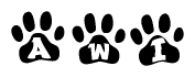 The image shows a row of animal paw prints, each containing a letter. The letters spell out the word Awi within the paw prints.