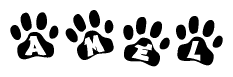 The image shows a series of animal paw prints arranged in a horizontal line. Each paw print contains a letter, and together they spell out the word Amel.