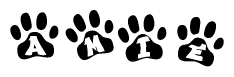 The image shows a series of animal paw prints arranged in a horizontal line. Each paw print contains a letter, and together they spell out the word Amie.