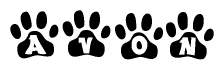 The image shows a series of animal paw prints arranged in a horizontal line. Each paw print contains a letter, and together they spell out the word Avon.