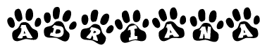 The image shows a series of animal paw prints arranged in a horizontal line. Each paw print contains a letter, and together they spell out the word Adriana.