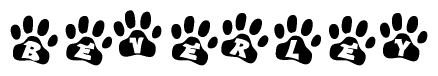 The image shows a series of animal paw prints arranged horizontally. Within each paw print, there's a letter; together they spell Beverley