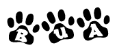 The image shows a series of animal paw prints arranged in a horizontal line. Each paw print contains a letter, and together they spell out the word Bua.