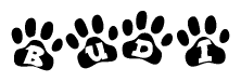 The image shows a series of animal paw prints arranged in a horizontal line. Each paw print contains a letter, and together they spell out the word Budi.