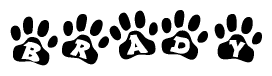 The image shows a series of animal paw prints arranged horizontally. Within each paw print, there's a letter; together they spell Brady