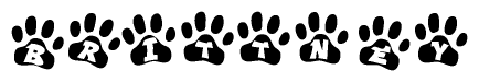 The image shows a series of animal paw prints arranged horizontally. Within each paw print, there's a letter; together they spell Brittney