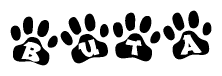 The image shows a row of animal paw prints, each containing a letter. The letters spell out the word Buta within the paw prints.