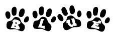The image shows a series of animal paw prints arranged in a horizontal line. Each paw print contains a letter, and together they spell out the word Blue.