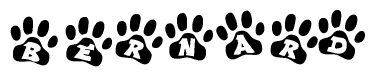 The image shows a series of animal paw prints arranged horizontally. Within each paw print, there's a letter; together they spell Bernard
