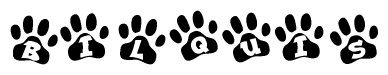 The image shows a series of animal paw prints arranged in a horizontal line. Each paw print contains a letter, and together they spell out the word Bilquis.