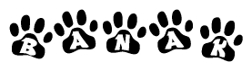 The image shows a series of animal paw prints arranged in a horizontal line. Each paw print contains a letter, and together they spell out the word Banak.