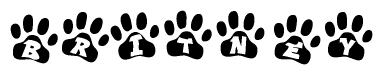 The image shows a series of animal paw prints arranged horizontally. Within each paw print, there's a letter; together they spell Britney