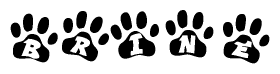 The image shows a series of animal paw prints arranged in a horizontal line. Each paw print contains a letter, and together they spell out the word Brine.