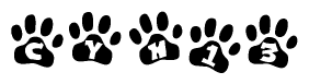 The image shows a series of animal paw prints arranged in a horizontal line. Each paw print contains a letter, and together they spell out the word Cyh13.