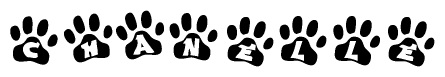 The image shows a row of animal paw prints, each containing a letter. The letters spell out the word Chanelle within the paw prints.