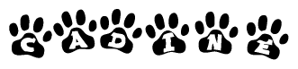The image shows a row of animal paw prints, each containing a letter. The letters spell out the word Cadine within the paw prints.