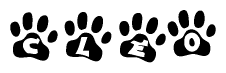 The image shows a row of animal paw prints, each containing a letter. The letters spell out the word Cleo within the paw prints.